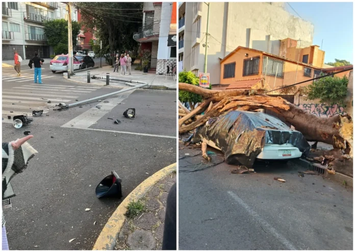 Sismo El sismo de esta mañana dejó un saldo de dos personas muertas y diversos daños materiales tanto en Guerrero como en la Ciudad de México