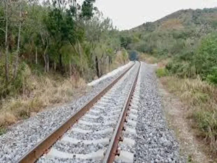 Tren Interoceánico en Veracruz Tren Interoceánico en zona de descarrilamiento en Veracruz