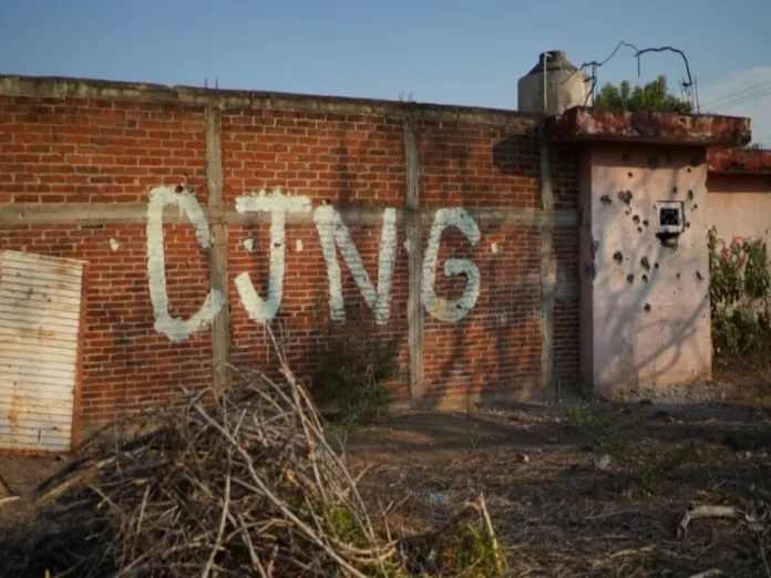 Imagen del CJNG detenido en Checa durante audiencia judicial